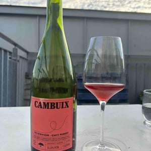 Cambuix - Ve d'Avior - Cati Ribot 