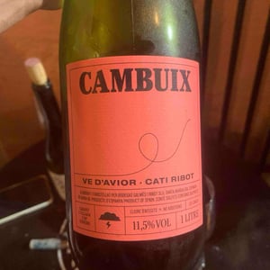 Ve d'Avior - Cati Ribot - Cambuix