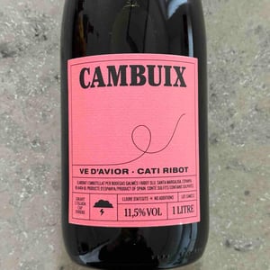Ve d'Avior - Cati Ribot - Cambuix