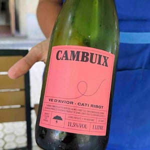 Ve d'Avior - Cati Ribot - Cambuix