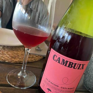 Ve d'Avior - Cati Ribot - Cambuix