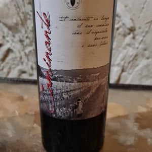 Caminante Rosso - Cantina Supersanum - gabriele-paolo-sara-nutricato -2016