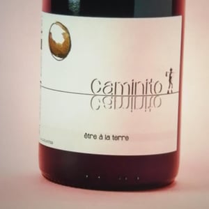 Caminito - La Ferme des Magesses - Thomas Bouët 