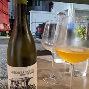 Camino De La Frontera - Daterra Viticultores - Laura Lorenzo Dominguez -2020