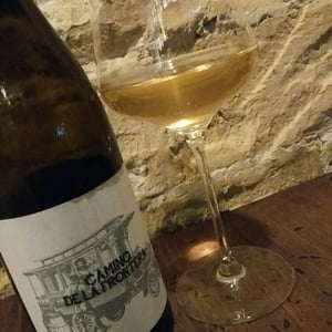 Camino De La Frontera - Daterra Viticultores - Laura Lorenzo Dominguez 