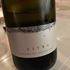 Castra Brut Nature - Guerila - zmagoslav-petric