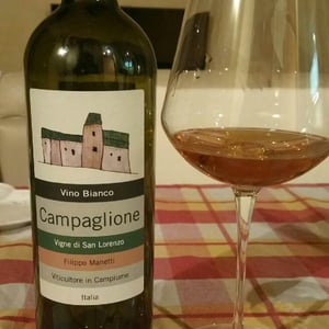 Campaglione Bianco - Vigne di San Lorenzo - Filippo Manetti 