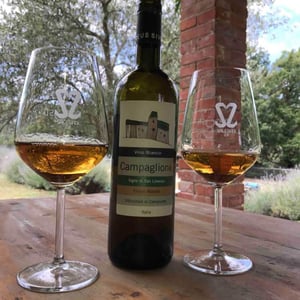 Campaglione Bianco 2016