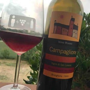 Campaglione Rosso - Vigne di San Lorenzo - Filippo Manetti 