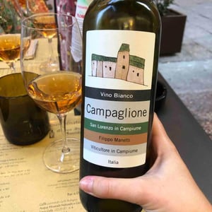 Campaglione Bianco - Vigne di San Lorenzo - Filippo Manetti 