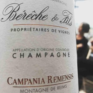 Campania Remensis - Berêche & Fils - raphael-vincent-bereche