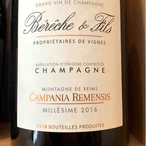 Campania Remensis - Berêche & Fils - raphael-vincent-bereche