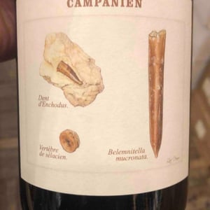 Campanien - Champagne Legrand-Latour - Thibault Legrand -2018