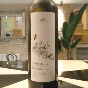 Campi Flegrei Falanghina - Contrada Salandra - giuseppe-fortunato