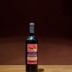 Campiume - Vigne di San Lorenzo - filippo-manetti