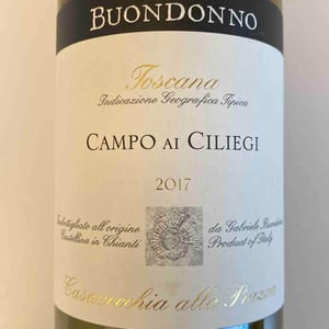 Campo ai Ciliegi - Azienda Agricola Casavecchia alla Piazza - Gabriele Buondonno 