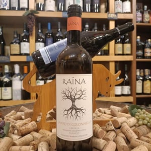 Campo di Colonnello  2022 - Raína - Francesco Mariani 