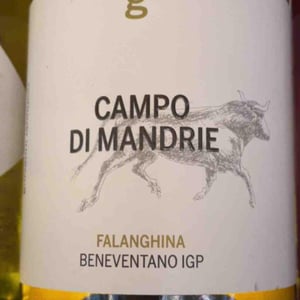Campo Di Mandrie - Azienda Agricola Giovanni Iannucci - Giovanni Iannucci 
