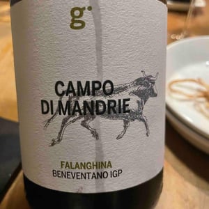 Campo Di Mandrie - Azienda Agricola Giovanni Iannucci - Giovanni Iannucci 