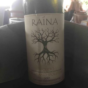 Campo Di Raína - Raína - Francesco Mariani 