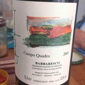 Campo Quadro - Azienda Agricola Biológica Punset - Marina Marcarino & Piero Ballario 