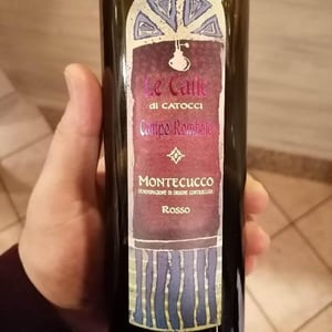 Campo Rombolo Rosso - Le Calle - Riccardo Catocci 