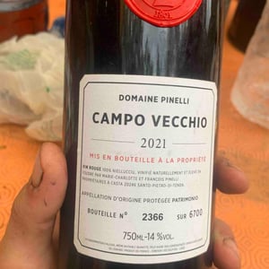 Campo Vecchio - Domaine Pinelli - marie-charlotte-pinelli -2021