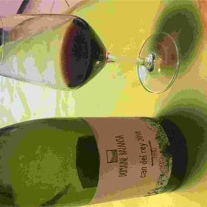 Domaine Balansa - Céline Peyre & Alex Gressent - Can Del Rey