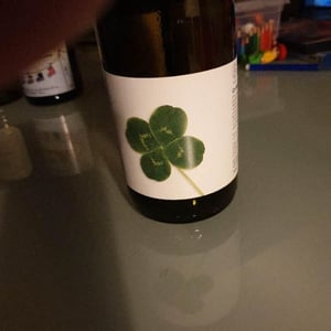 Can Marti - Vinyes Singulars - Ignasi Segui 