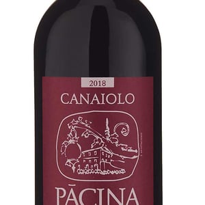 Canaiolo - Azienda Agricola Pācina - giovanna-tiezzi-stefano-borsa-maria-borsa-carlo-borsa-roberto-maccari-elisa