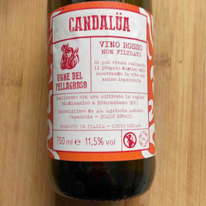 Candalüa - Vigne Del Pellagroso - antonio-camazzola