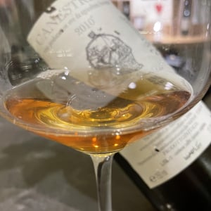 Canestrino Bianco di Toscana I.G.T. - Fattoria Cerreto Libri - valentina-baldini-libri