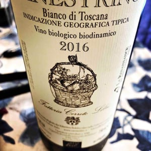 Canestrino Bianco di Toscana I.G.T. - Fattoria Cerreto Libri - valentina-baldini-libri