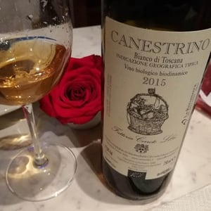 Canestrino Bianco di Toscana I.G.T. - Fattoria Cerreto Libri - valentina-baldini-libri