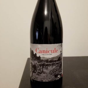 Canicule - Castelmaure - castelmaure-scv-cooperative