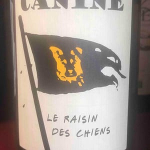 Canine (le raisin des chiens)