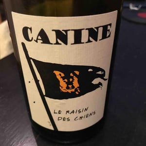 Le Batossay - Baptiste Cousin - Canine (le raisin des chiens)