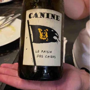 Canine (le raisin des chiens) - Le Batossay - Baptiste Cousin 