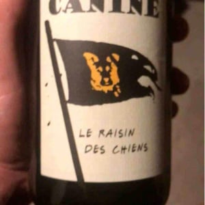 Canine (le raisin des chiens) - Le Batossay - Baptiste Cousin 
