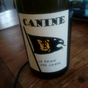 Canine (le raisin des chiens) - Le Batossay - baptiste-cousin