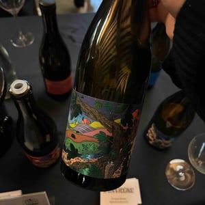 Canopée - Domaine De L’Enviegne - Alexis Tondeur 