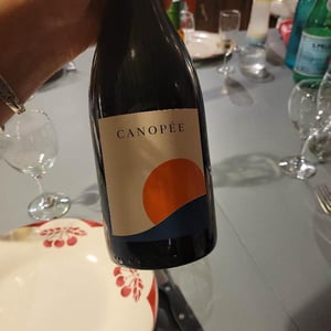 Canopée - Vignobles David - frederic-david -2021
