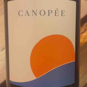 Canopée - David - vignoble-david -2022