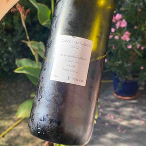 Canta Mañana - Les Vins du Cabanon - Alain Castex 