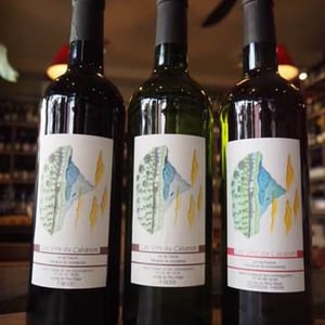 Canta Mañana - Les Vins du Cabanon - Alain Castex 