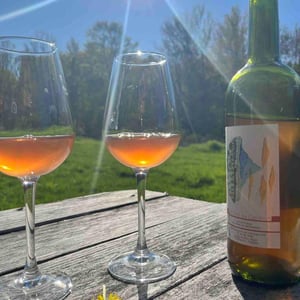 Canta Mañana - Les Vins du Cabanon - Alain Castex 