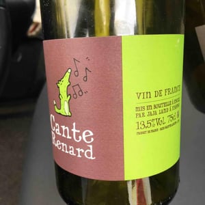 Jaja Land - Philippe Pibarot - Cante Renard Blanc