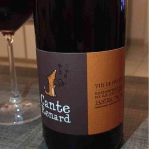 Cante Renard Blanc - Jaja Land - Philippe Pibarot 
