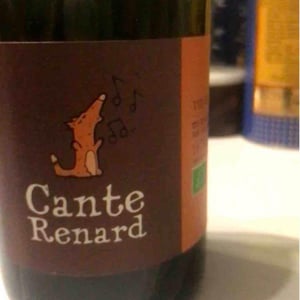 Jaja Land - Philippe Pibarot - Cante Renard Blanc