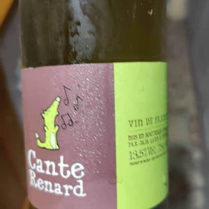 Jaja Land - Philippe Pibarot - Cante Renard Blanc